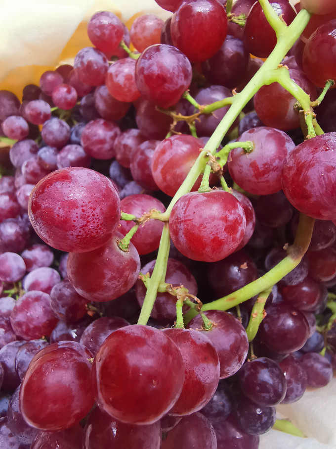 葡萄/提子