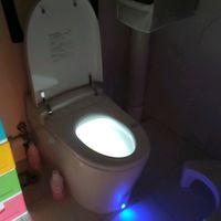 智能马桶初体验