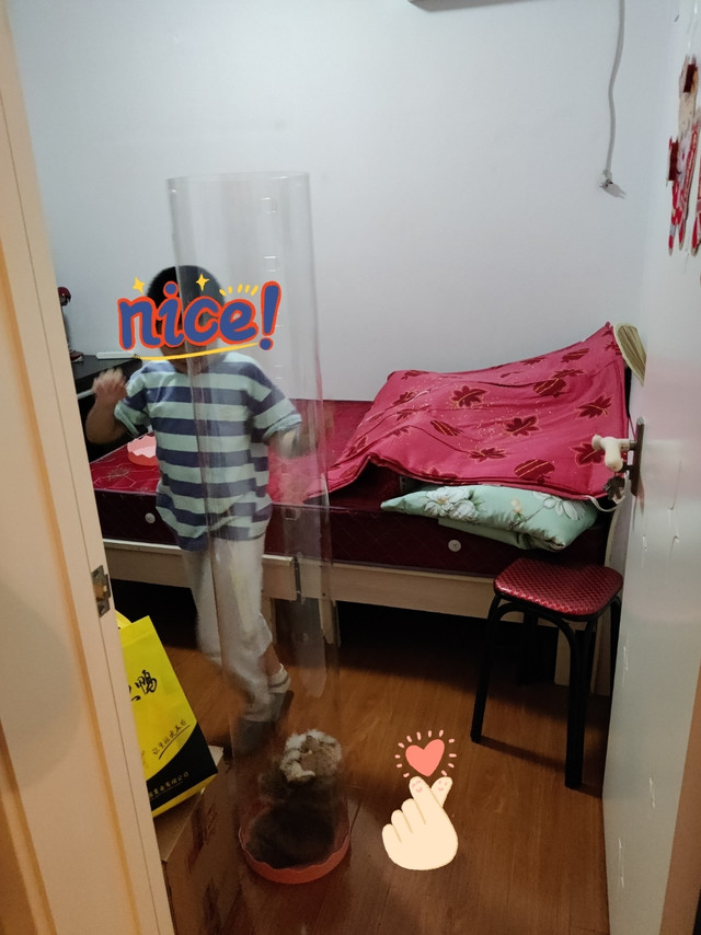 家里的毛绒玩具总算有地方待了