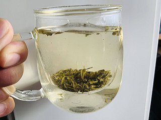春蕾茉莉花茶——茶味与花香相得益彰！