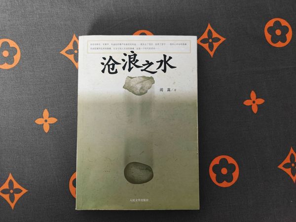 大学毕业那年，辅导员推荐的一本小说