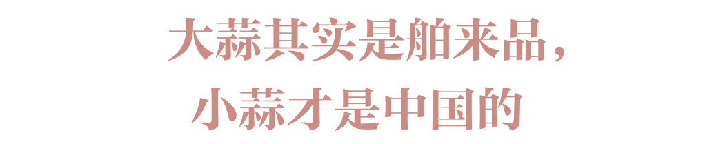 让我上头却又搞“臭”我，你“蒜”什么东西？