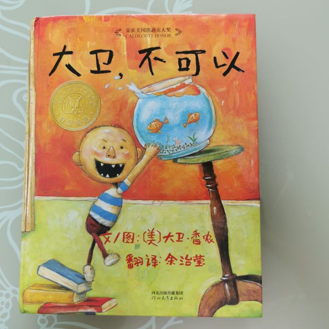 大卫不可以系列绘本