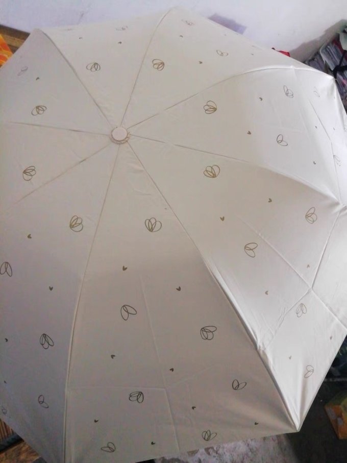 雨伞