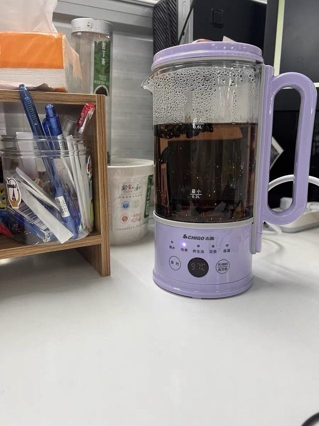 志高迷你型养生壶家用多功能mini花茶