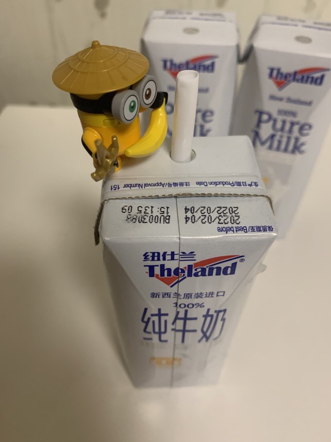 纽仕兰奶类制品