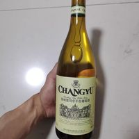 张裕雷司令