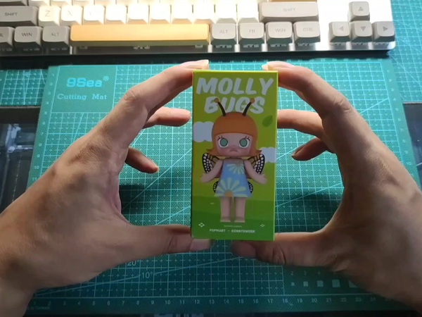 继续来开箱泡泡玛特,这次是昆虫系列