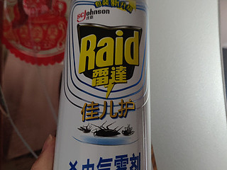 雷达的雷，Raid