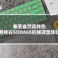 数码原动力 篇一百零二：春意盎然森林色：黑峡谷SODA68机械键盘体验