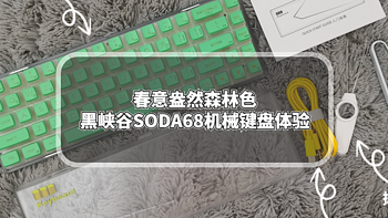 数码原动力 篇一百零二：春意盎然森林色：黑峡谷SODA68机械键盘体验