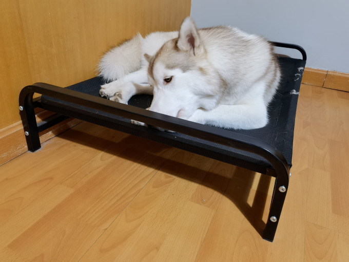荣迪猫狗窝