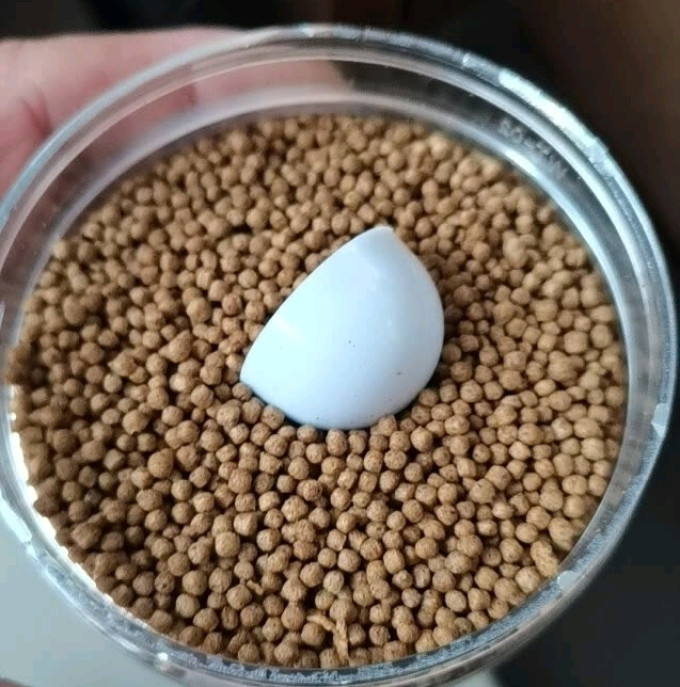 鱼粮
