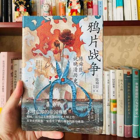 这本日本研究鸦片战争的参考书让我简单清晰的重新认知了那段历史