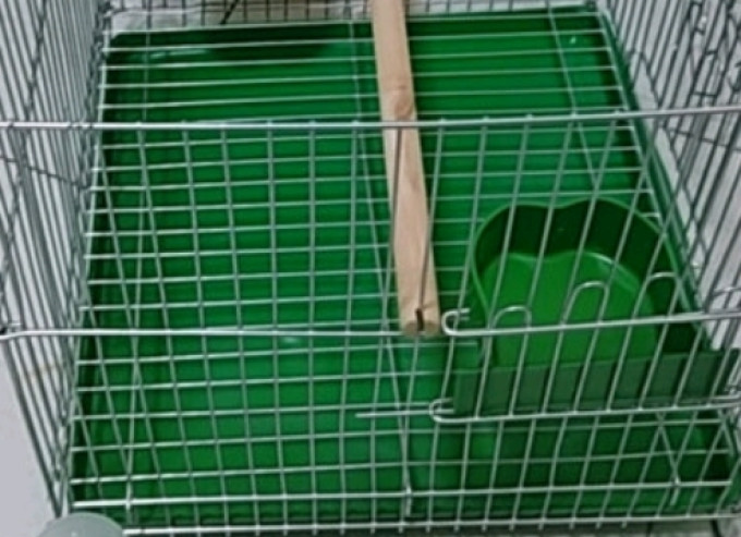 憨憨宠宠物家居日用