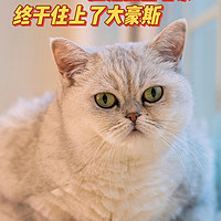 提猫回老家 它终于住上了大房子