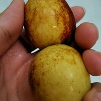 陕西大荔冬枣 甜枣 1kg装