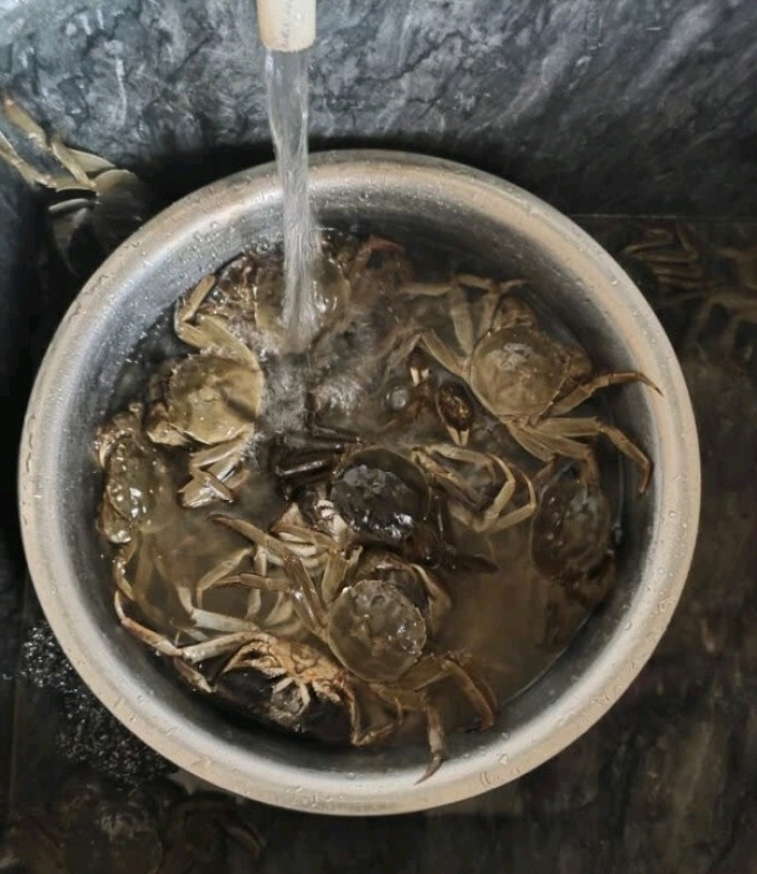 姑苏渔歌海鲜水产