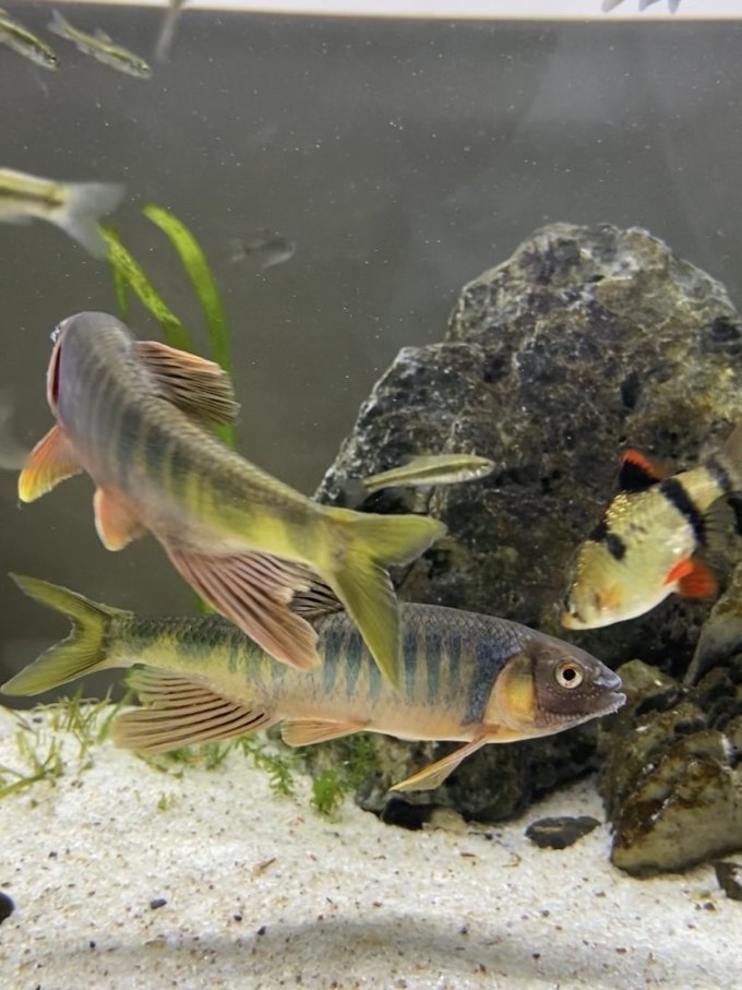 森森水族设备