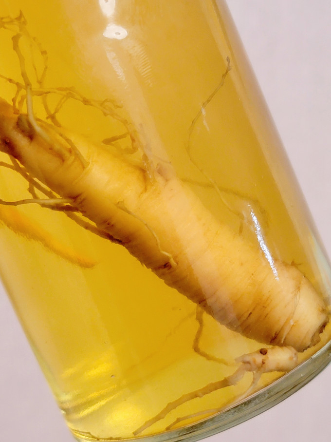 硬核颜究所饮料怎么样 罗森爆火的一整根人参水,不喝绝对会后悔!