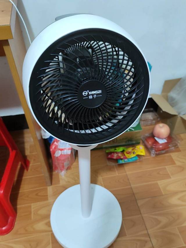 租房超实用的落地扇