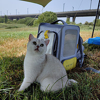 遛猫必备神器，小佩×ZONE太空舱猫包