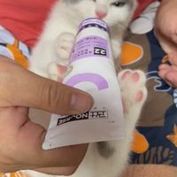 深受猫主子好评的化毛膏