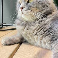 便宜免邮入还想怎么样