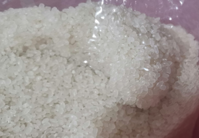 十月稻田大米