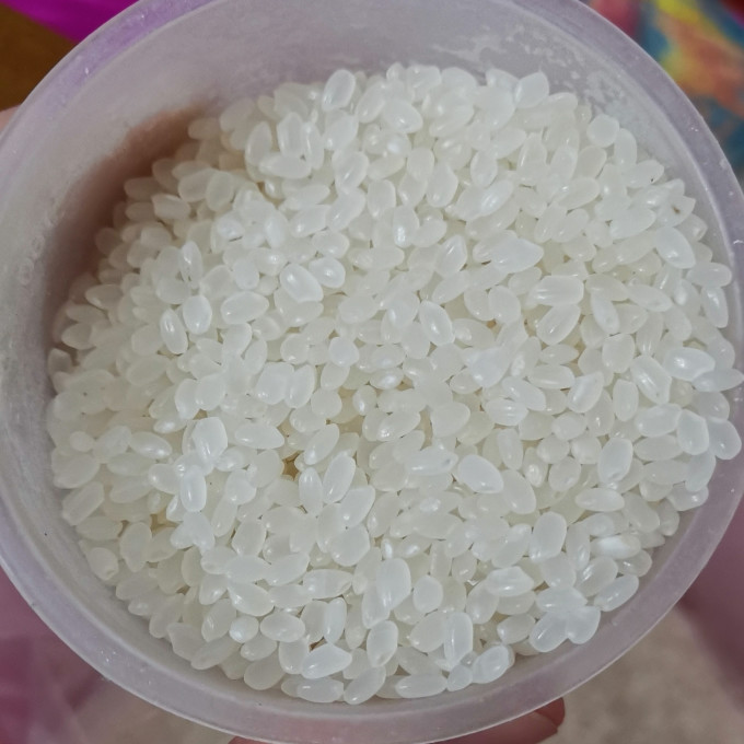 十月稻田大米
