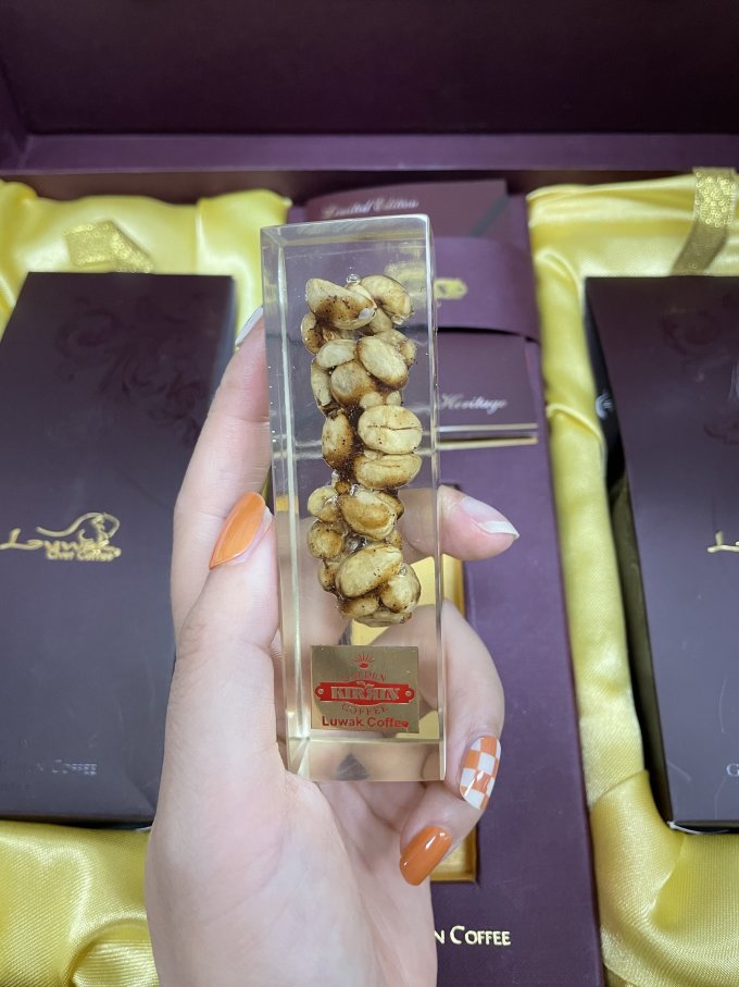 拉昆咖啡豆