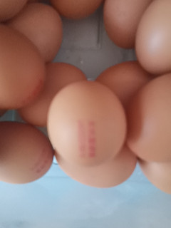 每个蛋都有一个编号
