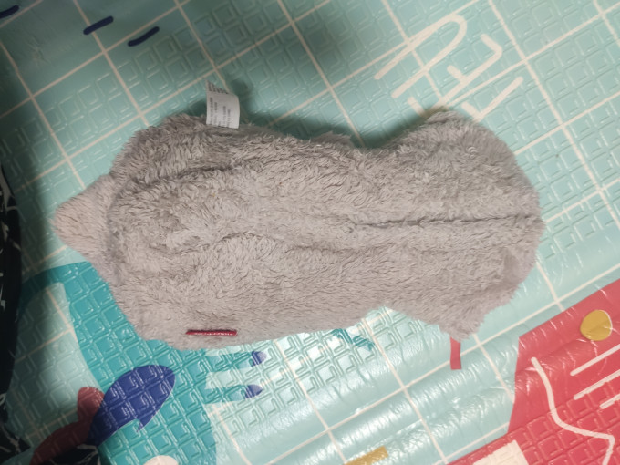 费雪声光玩具
