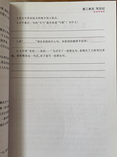 小学生同步作文