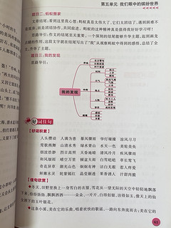 小学生同步作文