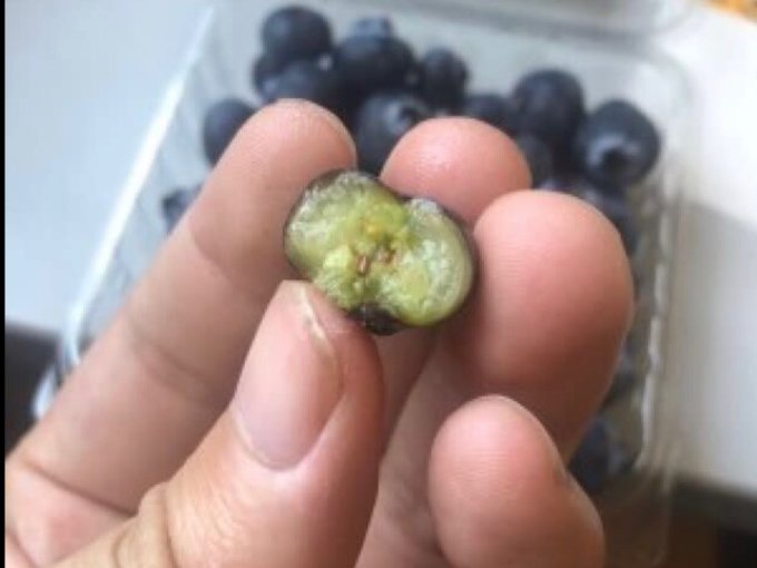 品赞新鲜水果
