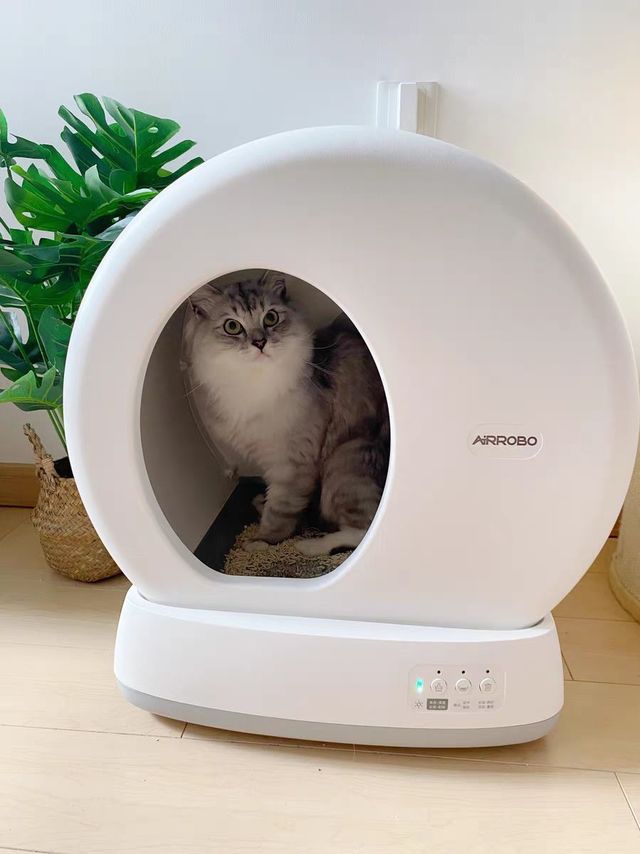 空气萝卜智能猫厕所