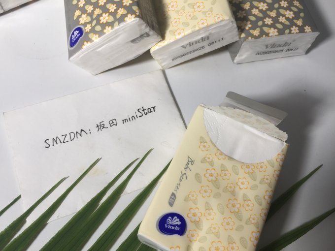 维达手帕纸