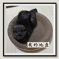 5.61元买到的大猫抓板窝～还包邮哦