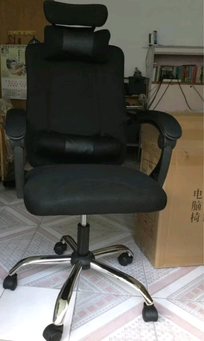 非洲鹰电脑椅