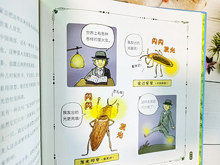 这套科普漫画昆虫书再现昆虫的精彩世界
