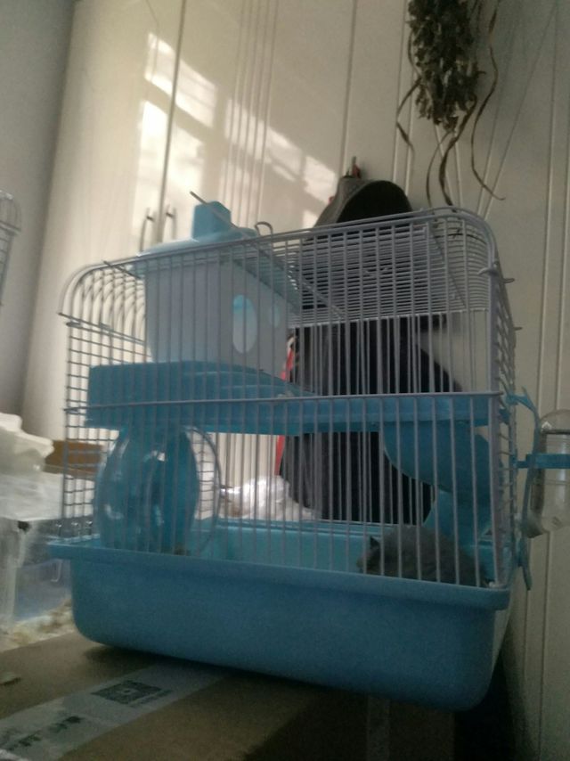 小仓鼠的家有小风车和滑滑梯