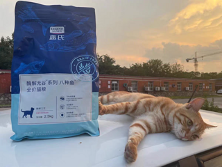 这是你在找的良心猫粮吗