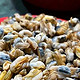  潮汕产在大海里的“米”，渔民凌晨3点出海采捞，却便宜到论桶卖　