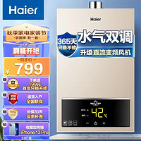 Haier 海尔 JSQ22-12UTS(12T) 燃气热水器 1
