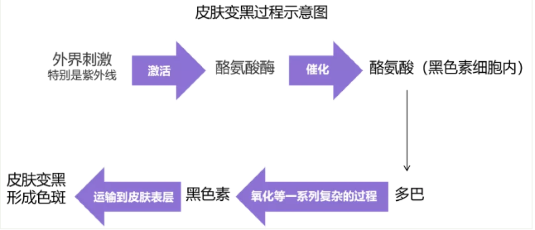 上了30岁皮肤就要注定认“黄”？这些办法帮你恢复少年感十足的“白皙”状态