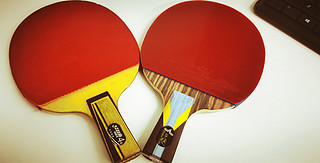 最近lv发布了乒乓球拍，勾起买个手拍的欲望