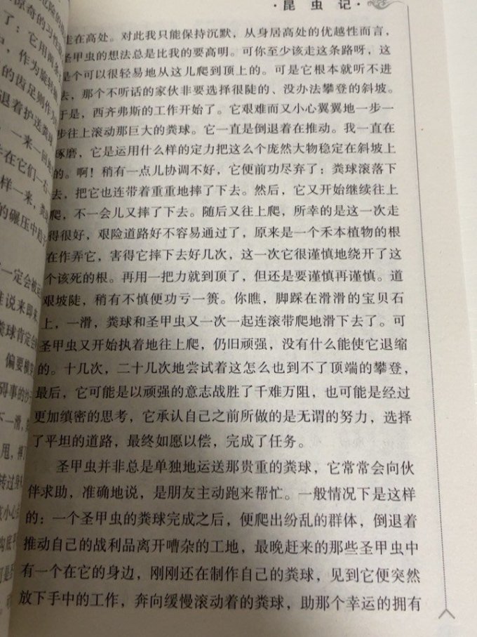 上海文化出版社少儿读物