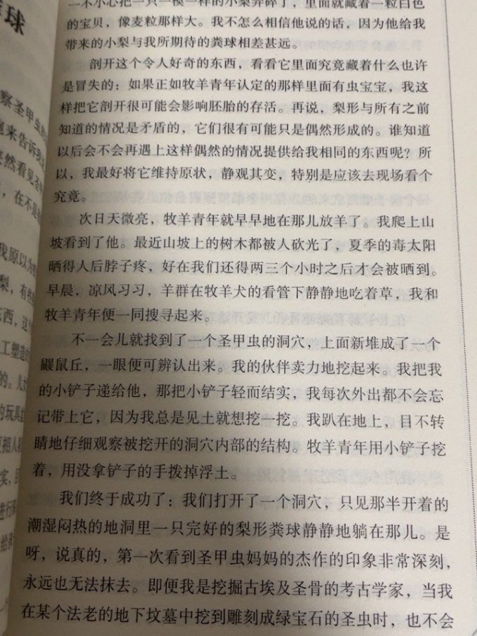 上海文化出版社少儿读物