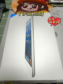 还在用iPad mini1，合格吗